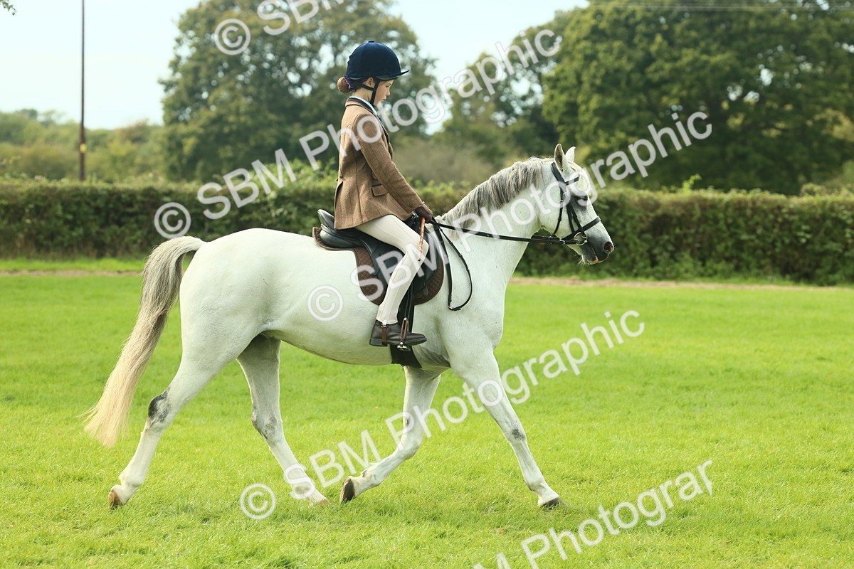 SBM_69799 - S59 - Mountain & Moorland Ridden Small Breeds