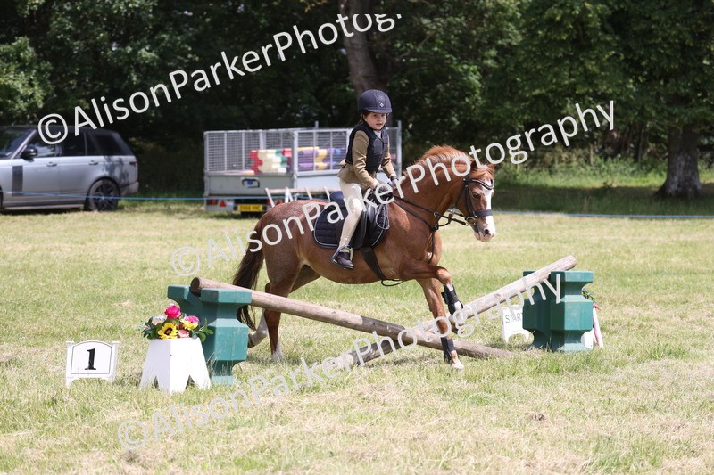 20260614-1995 - Class 21 - Novice Working Hunter Pony