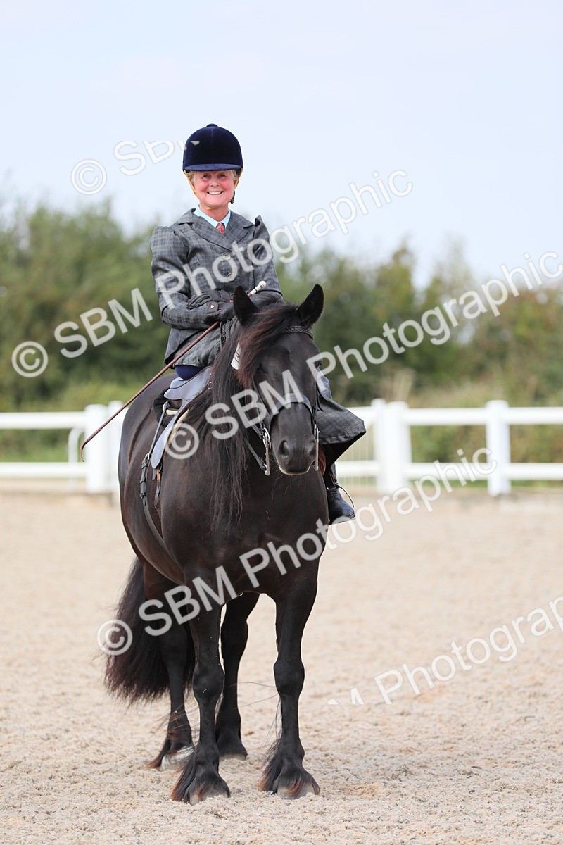 SBM_14589 - Class 211 Best Side Saddle Horse/Pony