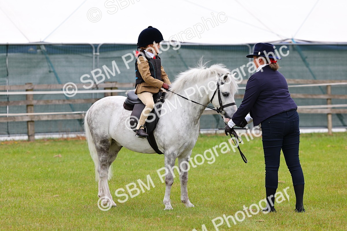 SBM_08144 - Class 42-43 - LIHS BSPS Heritage Working Sports Pony