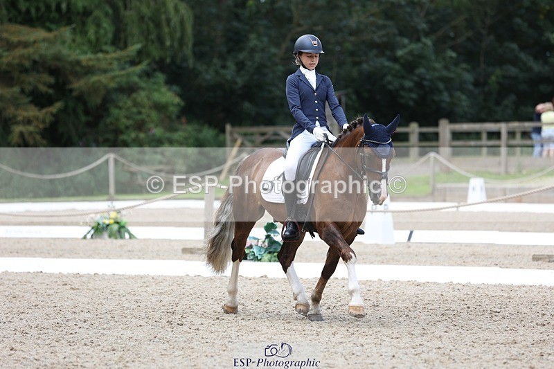 230812-120016-03905 - Cls 5 Novice Bronze 11.15 to 12.50 break