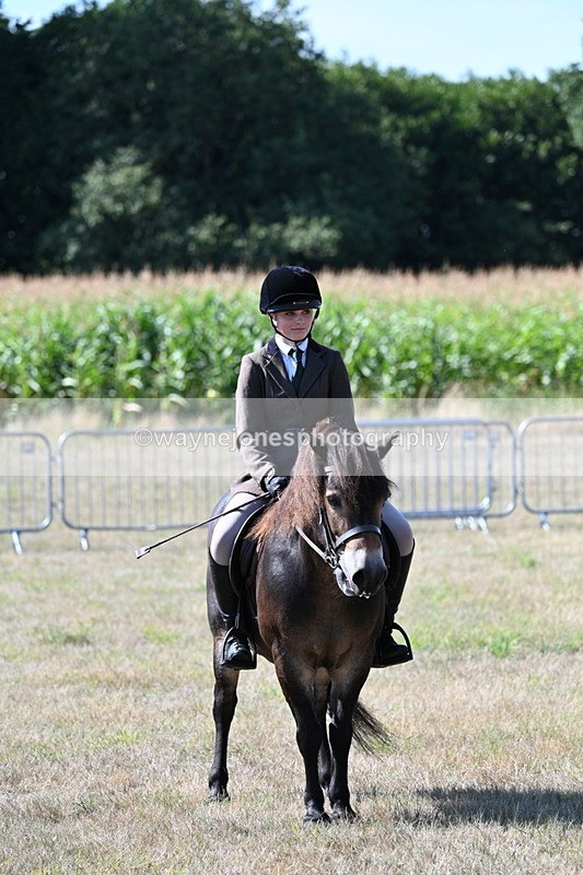 WJ7_3595 - Class 9 Mountain & Moorland Ridden