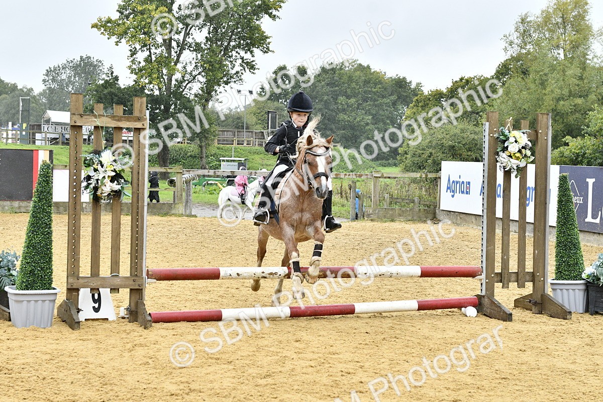SBM_70850 - J3 - Mini Tour Junior Pony 40cm championship