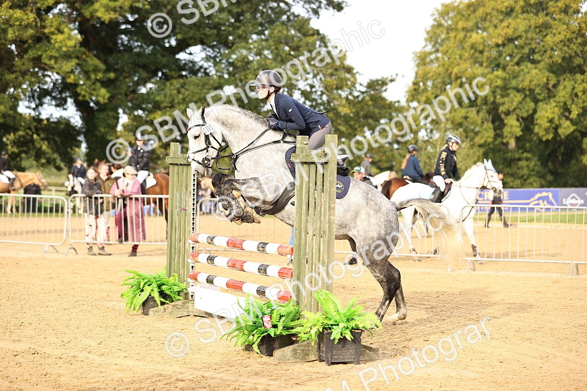 SBM_55280 - J62 - Clear Round 90cm