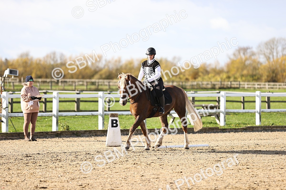 SBM_001310 - Class 2-4 - Intro 1 Intro 3