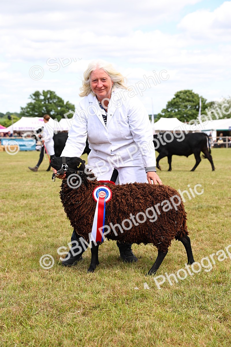 SBM_16969 - Grand Parade