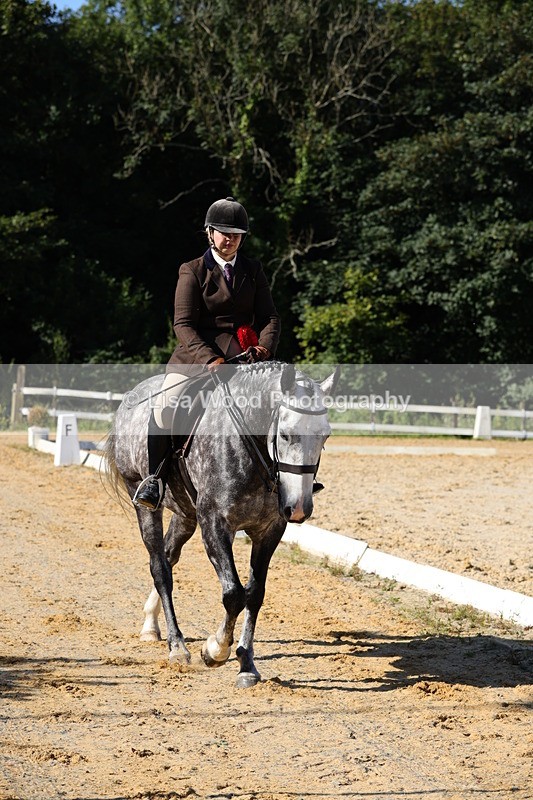 1X9A7697 - Class 8: Small Ridden Hunter