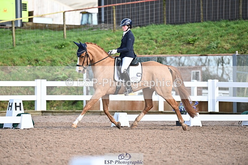 240218A-114152-06805 - 272-Beth.Bainbridge-Newton.Dreamcatcher