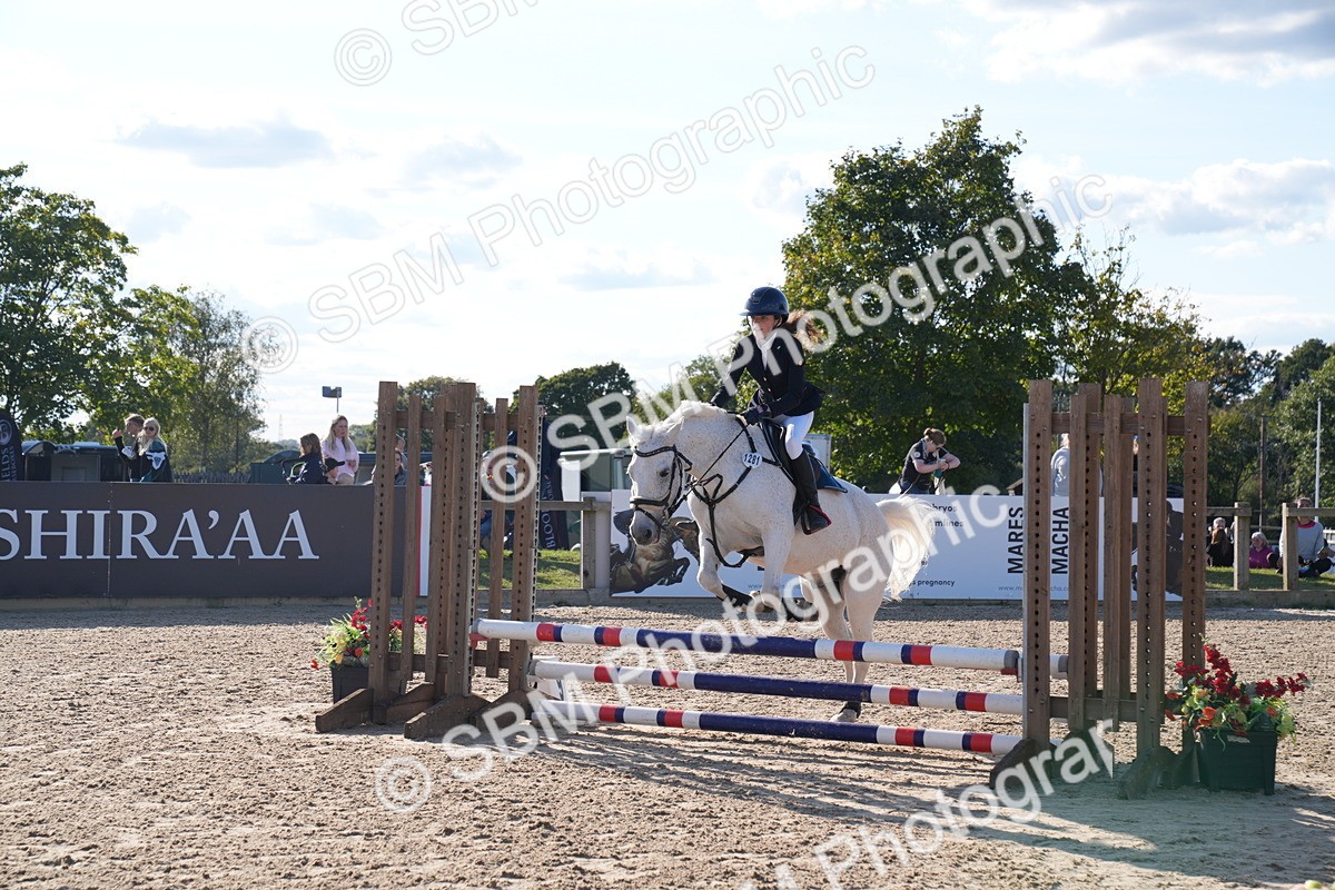 SBM_27963 - J43 - Super Speedy Scurry Open - 60cm