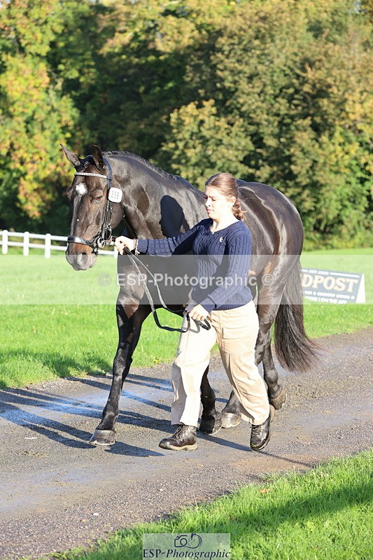 251026A-093626-22368 - D-356-Eloise.Starr