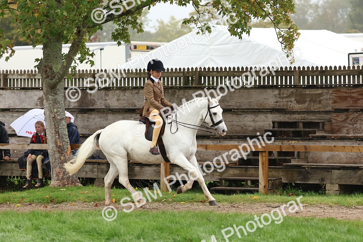 SBM_73005 - S63 Show Pony & Show Hunter Pony Ridden