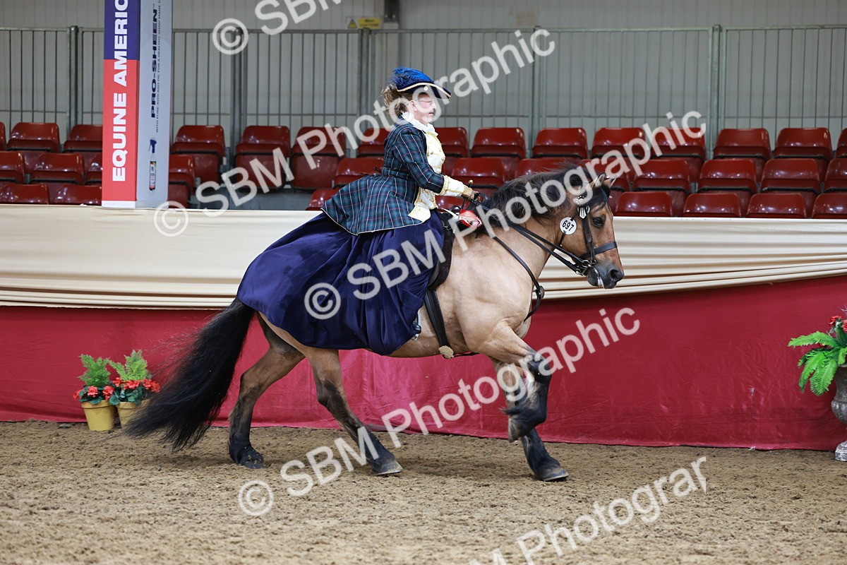 SBM_14861 - Class 107 - Ridden Costume - Astride Adult  (20+)