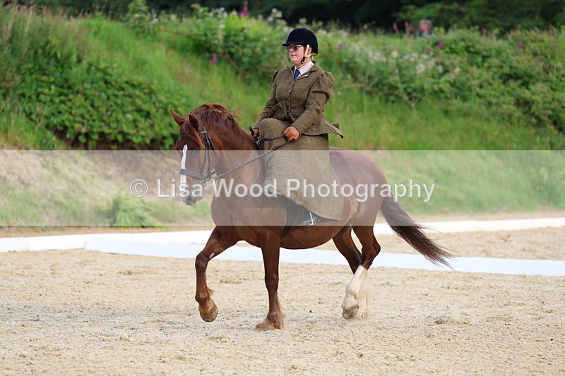 3E7A2044 - Class 3: Prelim 2 2024 Section A