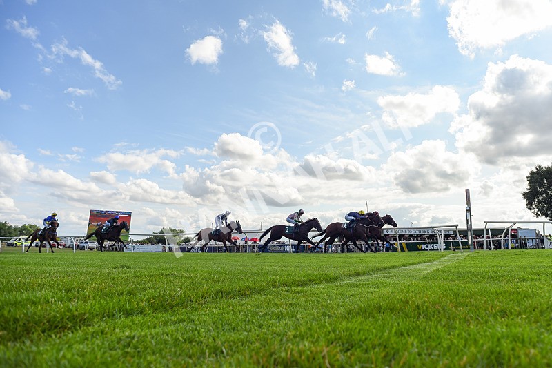 160725-Race 5-Chuti Manika-6197 - Race 5