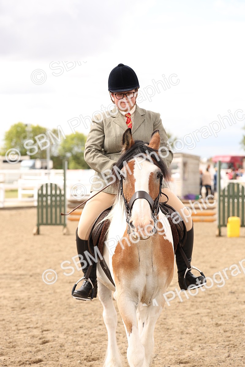 SBM_05195 - Class 56b -  Style & Performance - 50cm (20+)