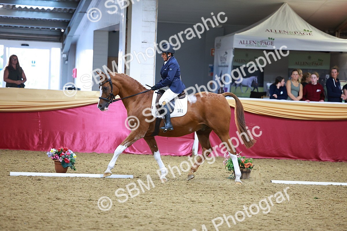 SBM_06661 - Class 61 - Dressage to Music
