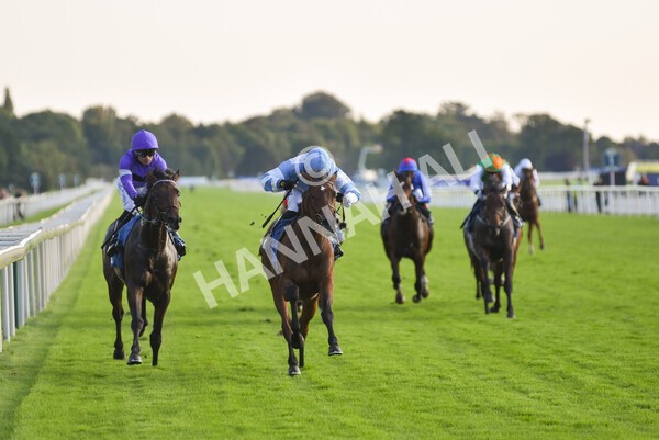 yr08102021r6-15 - Race 6 4.55pm Frank Whittle Partnership British EBF Restricted Novice Stakes