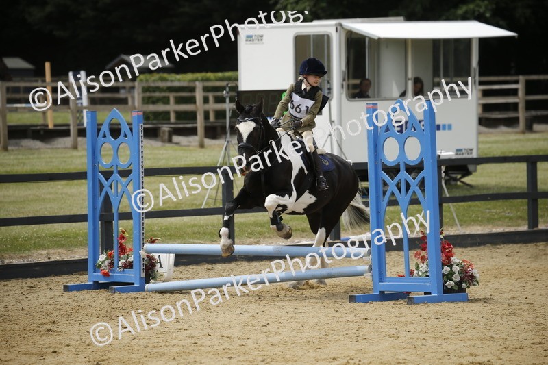 20250622-4750 - 50cm