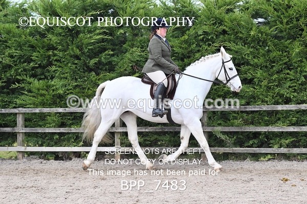 BPP_7483 - RING 1  (RIDDEN HORSES / IN HAND / VETERAN ETC)