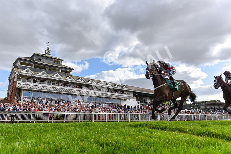 030824-Race 6-Night Breeze-2507 - Race 6