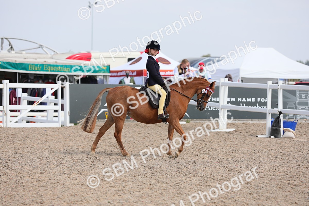 SBM_14678 - Class 310 First Ridden Pony