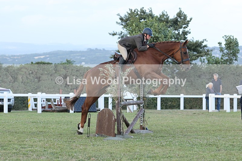 JPP_3667 - Class 24: Open Working Hunter