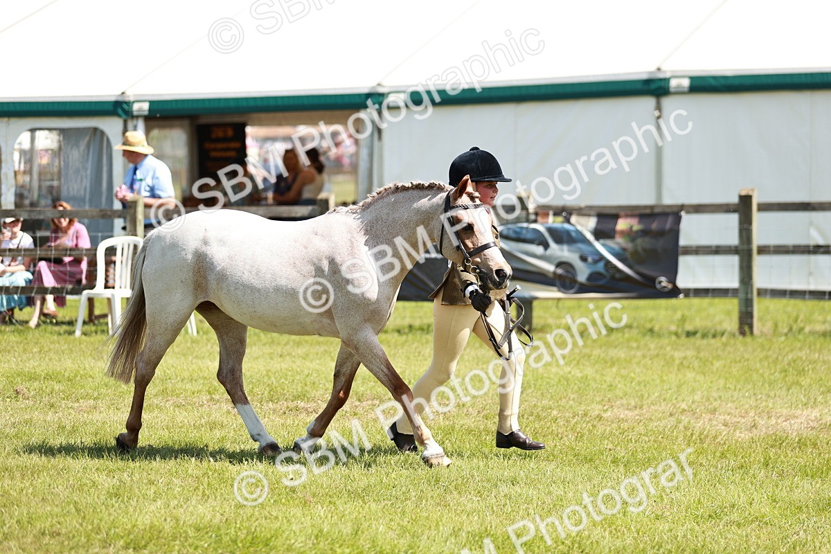SBM_13643 - Class 108-109 - BSPS LIHS Open Gradle & Nursery Stakes