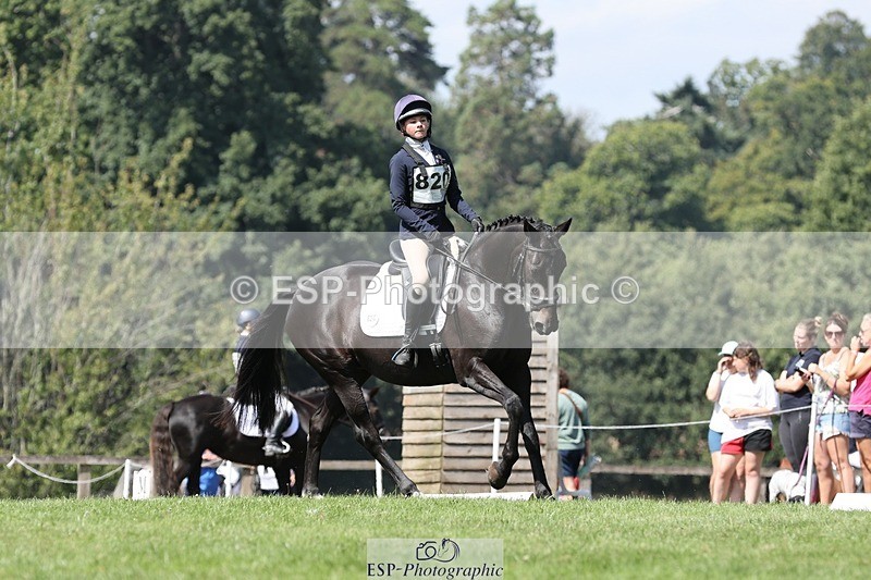 250823A-122450-29502 - Arena D