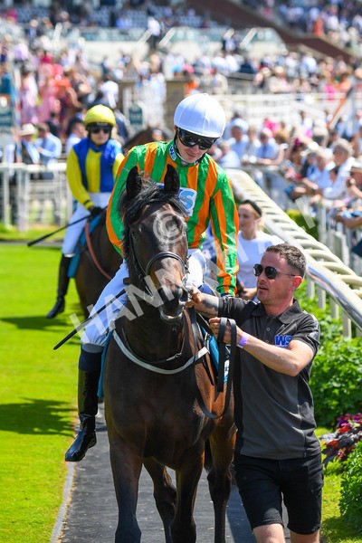 270523-Race 2-Native American-0251 - Race 2 2.10pm Collective Green Energy EBF Restricted Novice Stakes