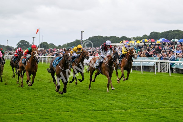 130724-Race 1-Blue For You-6947 - Race 1 2.00pm John Smith's Racing Handicap