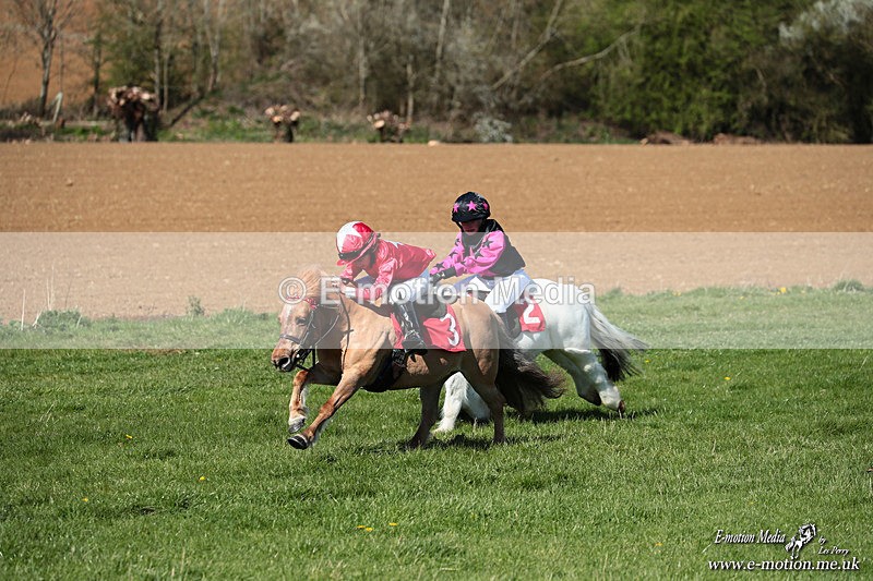 Shet 060426 170 - Shetland Pony Racing Paxford Races Easter Mon 06/04/26