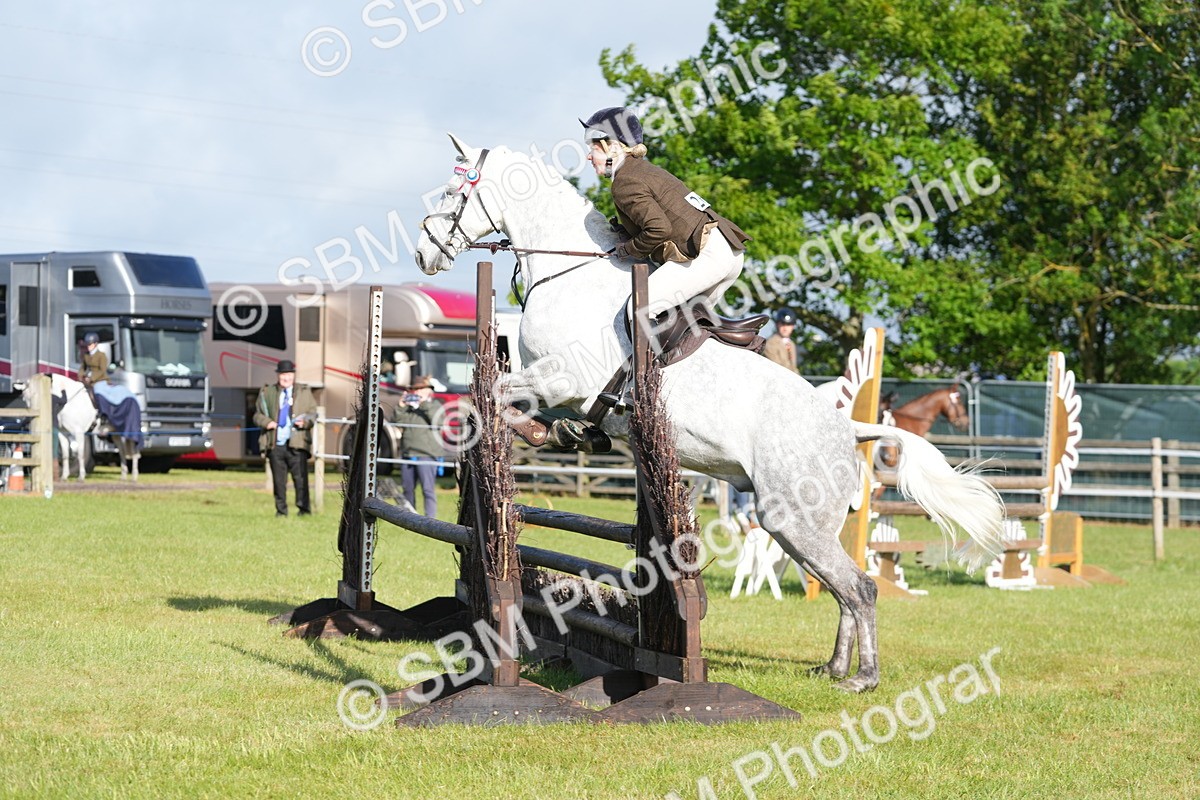 SBM_10496 - Class 97-98 - LIHS BSHA Rising Star Working Show Horse Hunter