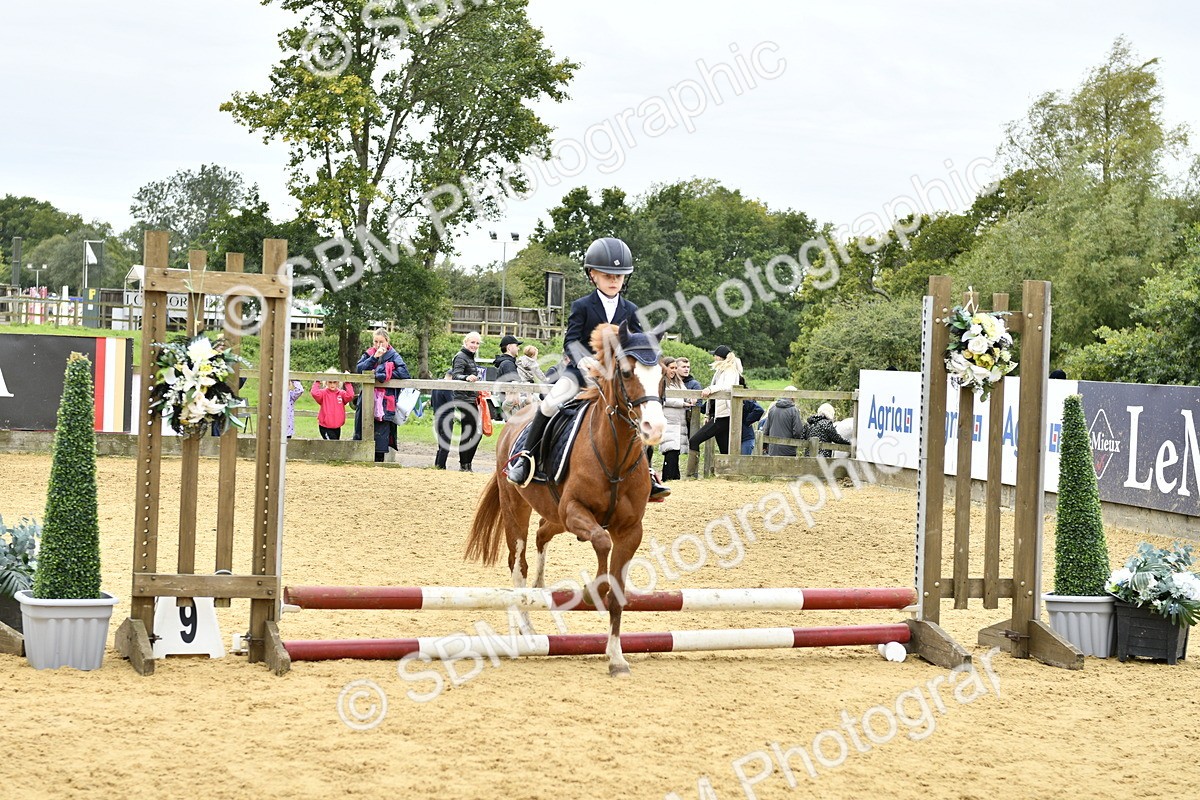 SBM_65461 - J2a mini Tour Junior Pony 30cm Championship