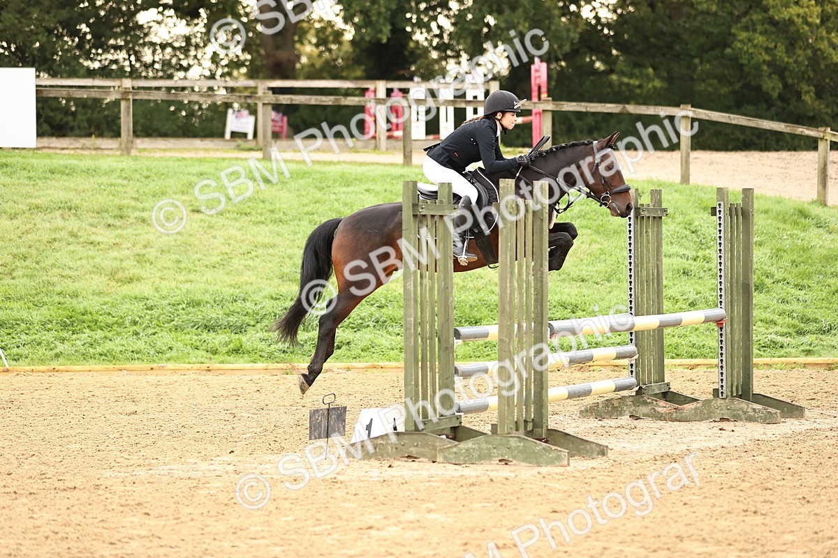 SBM_58278 - J41 - Grand Tour Horse & Pony 95cm