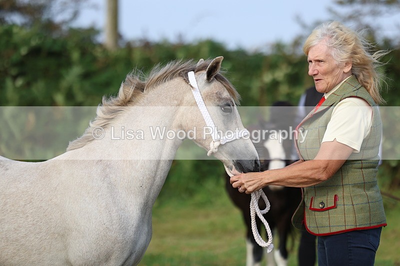 3E7A3254 - Class 12: M & M Small Breeds