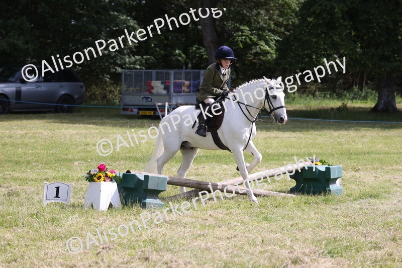 20260614-0646 - Class 20 - Beginners Working Hunter Pony