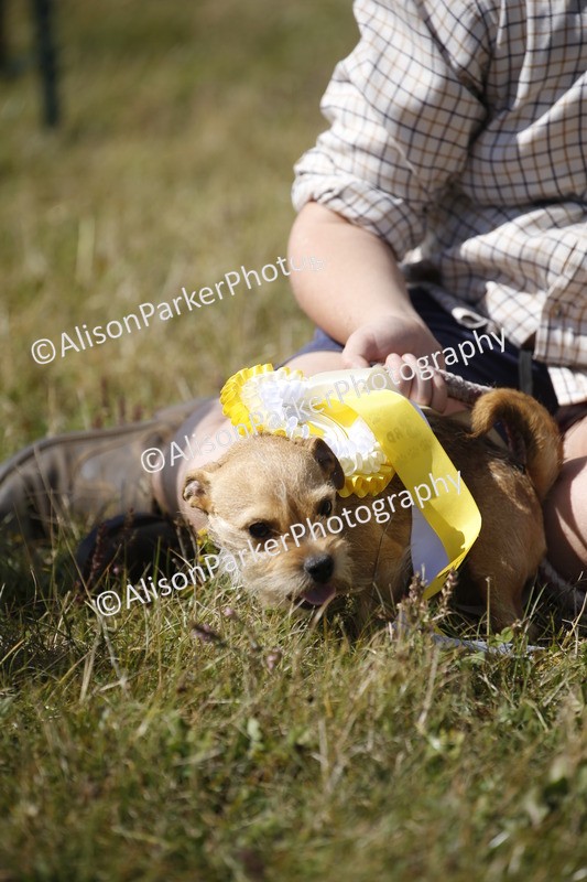 20250831-3712 - Dog Show