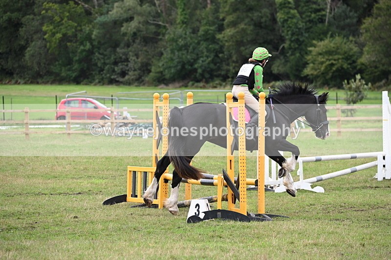 WJ6_1850 - 60cm Time 12:11 to 12:28