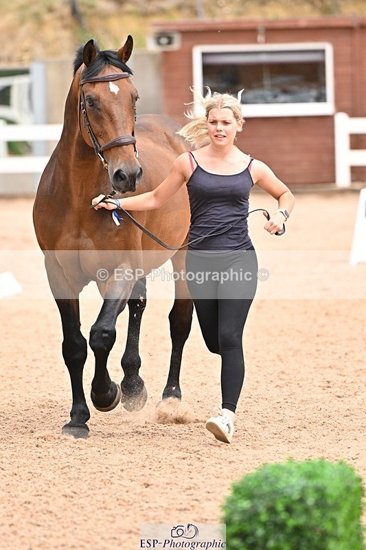 250716-144943-01438 - Trot Up 2.30 to 3.30