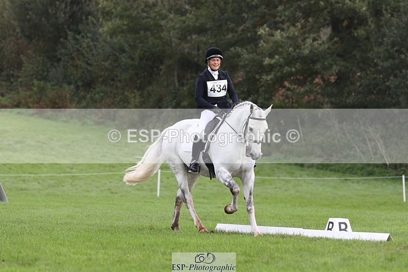 231019-122946-03661 - 434-SPINK.BUSTER-Sue.Parkes-DR