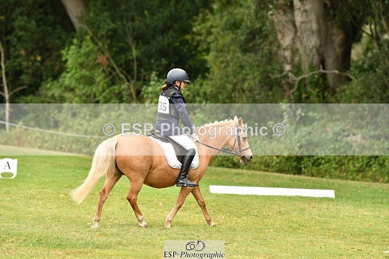 250820A-130410-05727 - 12 to 13.00