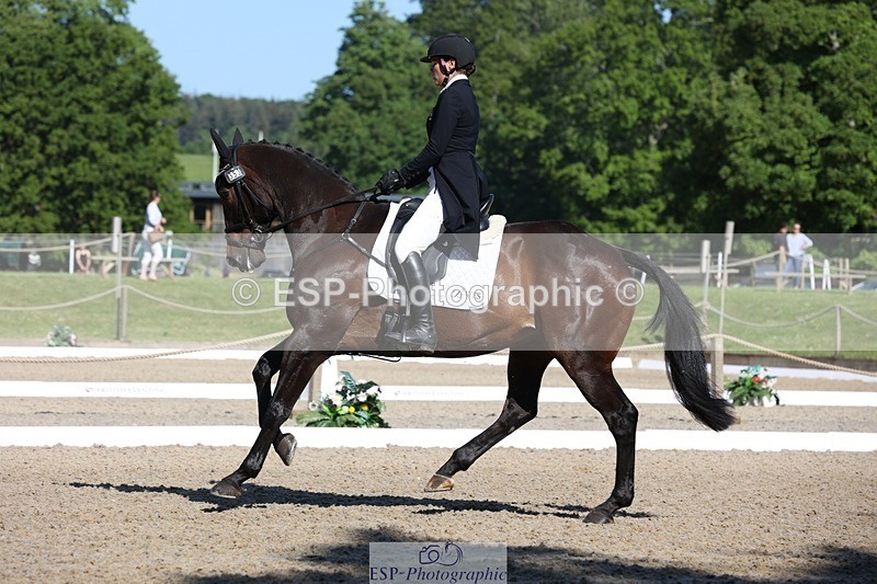230526-091834-05032 - 353-THE_RIPPER-Bundy_Philpott-WEDTrotUp+DR