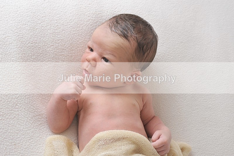 DSC_2857 - gabrielle
