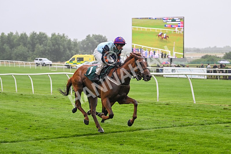 230725-Race 4-Brave Emerald-0223 - Race 4