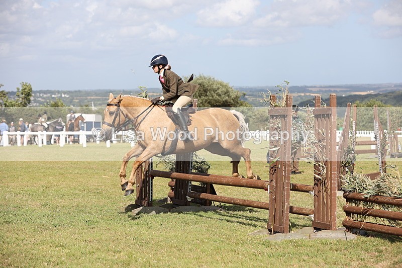 JPP_2700 - Class 20: Working Hunter 70cm