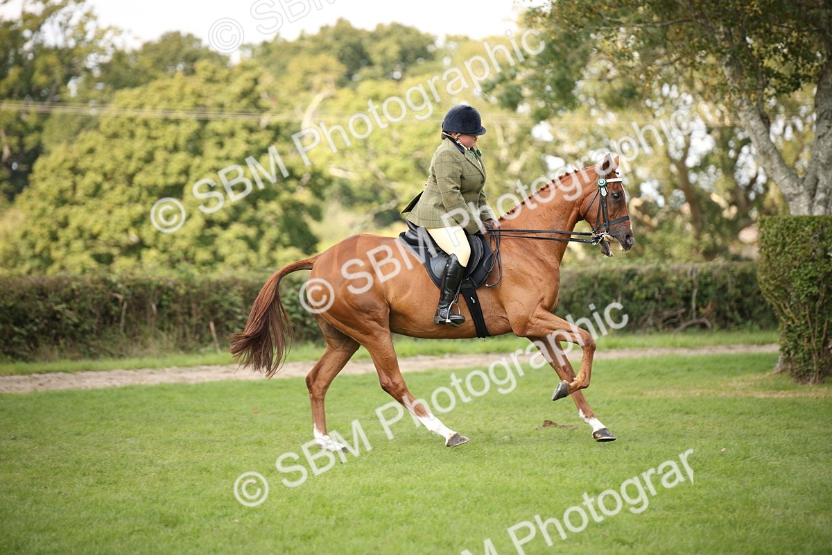 SBM_65926 - S64 - Riding Horse & Hack & Thoroughbred Ridden