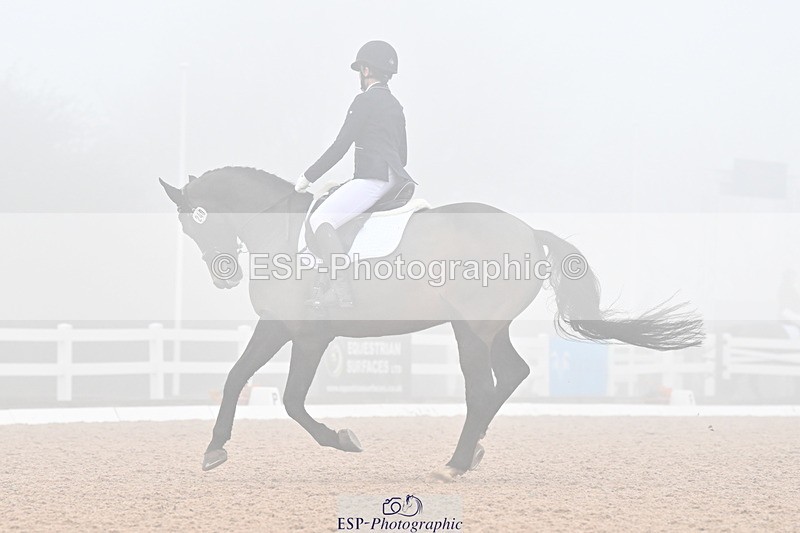 240217A-135347-03308 - 240-Moira.Bonner-Green.lanes.Elidor