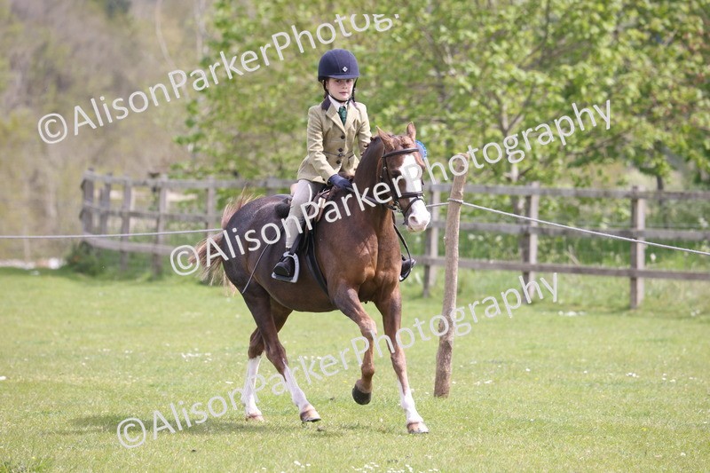 20260426-4048 - Class 33 - Best Pony 14.2hh and Under