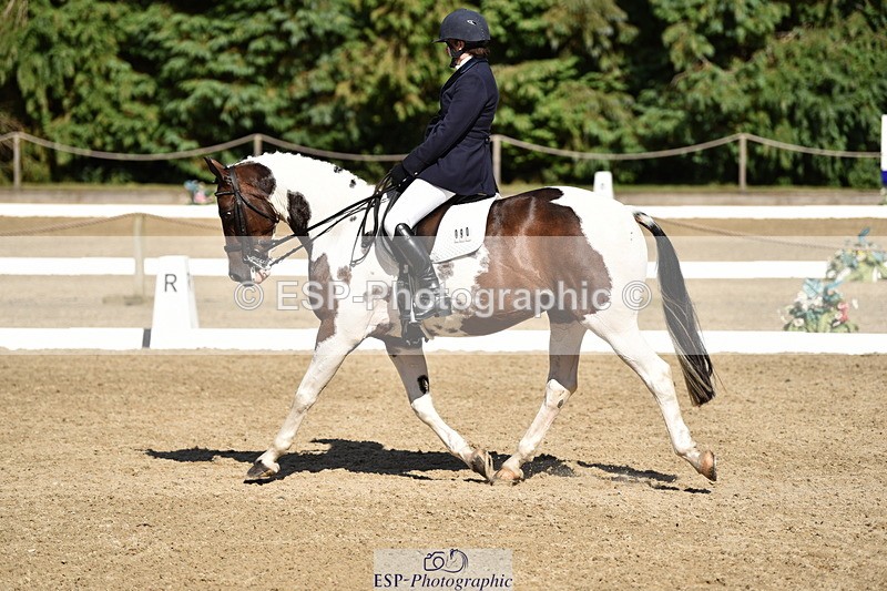 140110A-051920-12448 - 090-Debbie.Squires-Mystic.Spirit