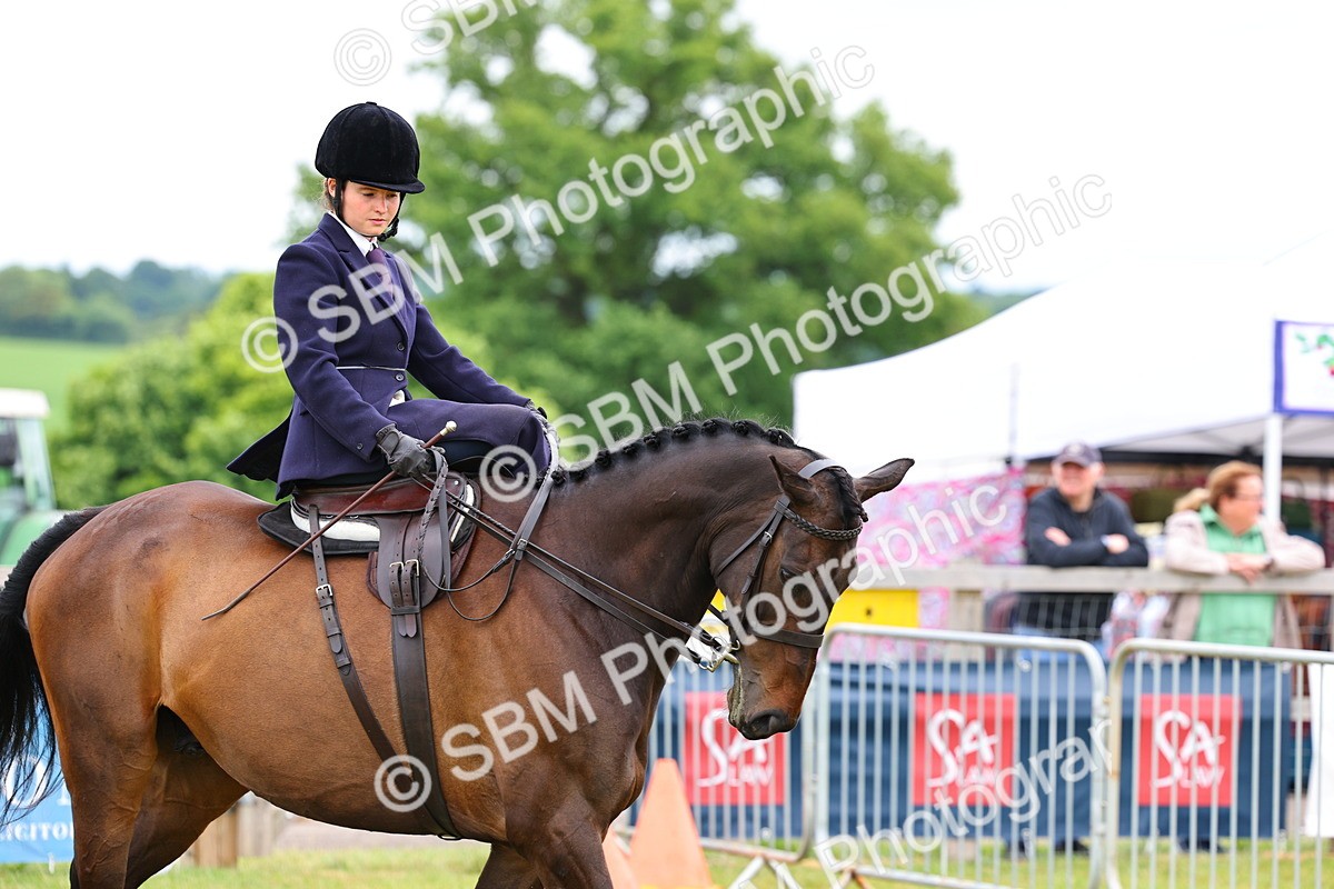 SBM_02800 - Class 9-11 Side Saddle including LIHS Rising Star Ladies Show Horse